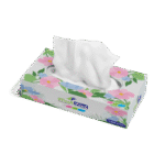 Car Tissue 100 Sheets